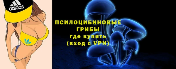 jwh Верея